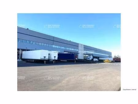 entrepôt à louer