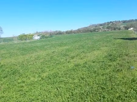 terrain constructible viabilisé à vendre