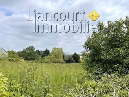 terrain constructible viabilisé à vendre