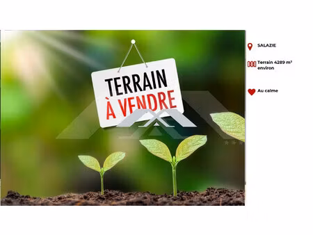 terrain 4289 m² salazie