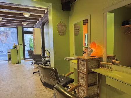 vente locaux professionnels 40 m² à bléré (37150)  65 000 €