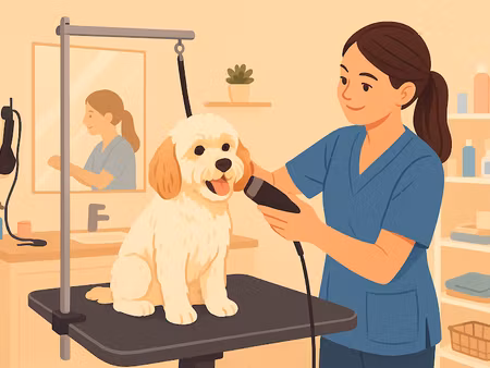 vente locaux professionnels 61 m² à saint-nicolas-d'aliermont (76510)  18 000 €