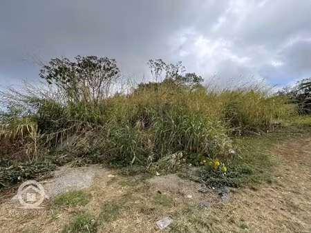 à vendre – terrain constructible de 453 m² à trois-bassins 97426