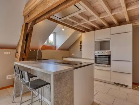 joli duplex à bouillon