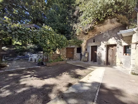 lieu unique niché dans un écrin de verdure avec caves troglo