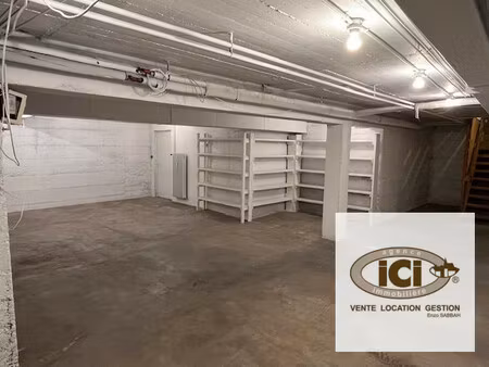 immobilier professionnel à louer annemasse