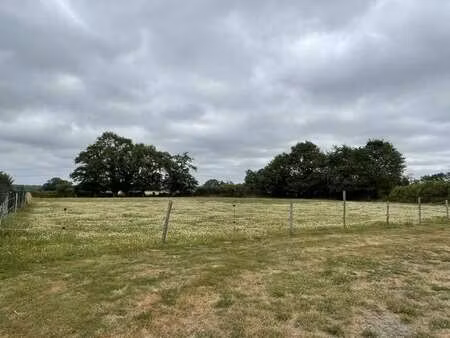 vente terrain à questembert (56230) : à vendre / 2000m² questembert