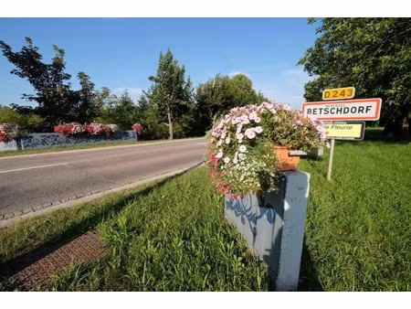 à vendre – maison alsacienne avec dépendances à betschdorf