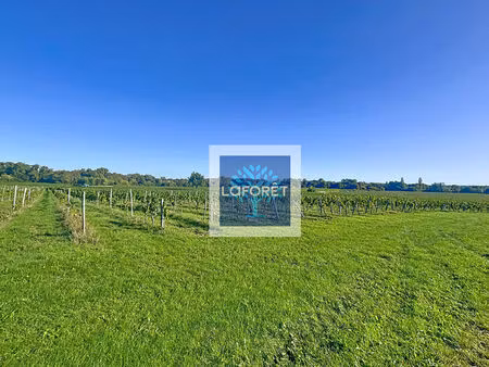 à vendre : 18 45 ha de terre