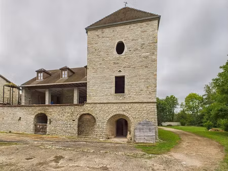 vente maison 8 pièces 312 m² à noyers (89310)  399 000 €