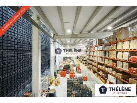 location commerce 205 m² à saint-jean-de-védas (34430)