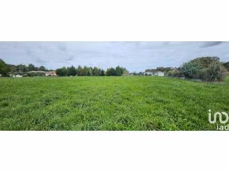 vente terrain piscine à serres-gaston (40700) : à vendre piscine / 2929m² serres-gaston