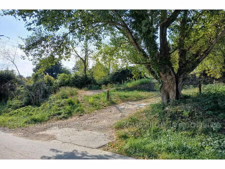 vente terrain 1968 m² céret (66400)