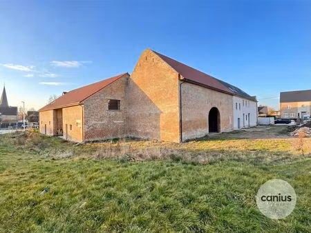 maison à vendre à hoepertingen € 330.000 (kpuq6) - canius real estate | zimmo