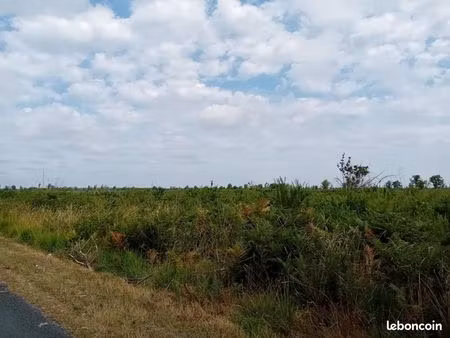 terrain 10 hectares plusieurs parcelles