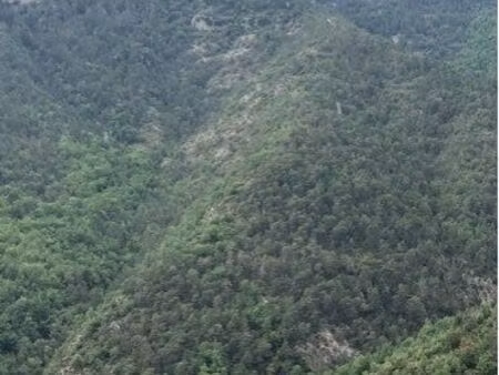 vends ferme bio plus maison