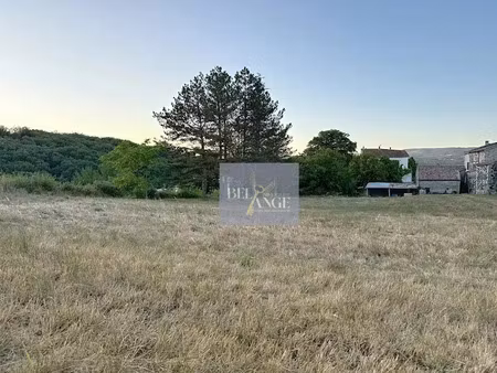 vente terrain à lavilledieu (07170)  285 000 €