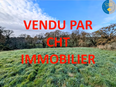 vente terrain 1015 m² à monteneuf (56380)  14 100 €