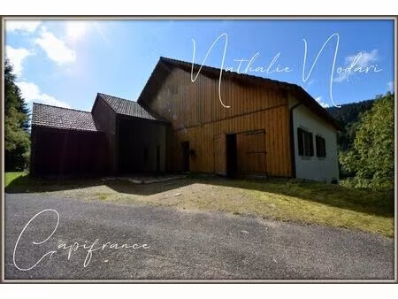 vente maison 11 pièces 272 m² la bresse (88250)