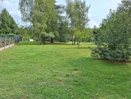 vente terrain à batir 3064 m² à vierzon (18100)  38 000 €