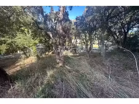 vente terrain à la croix-valmer (83420)  699 000 €