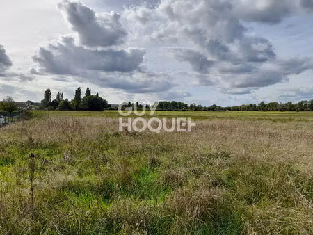 moneteau