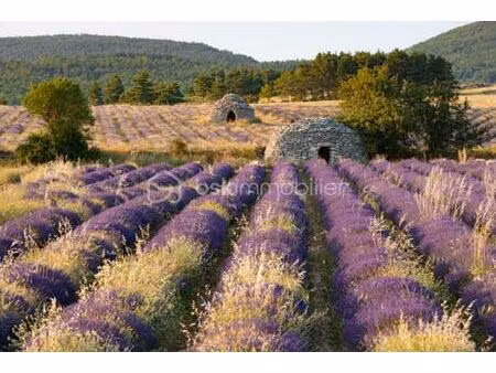 domaine de 2 360 m² à grignan