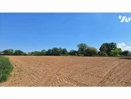 terrain à vendre