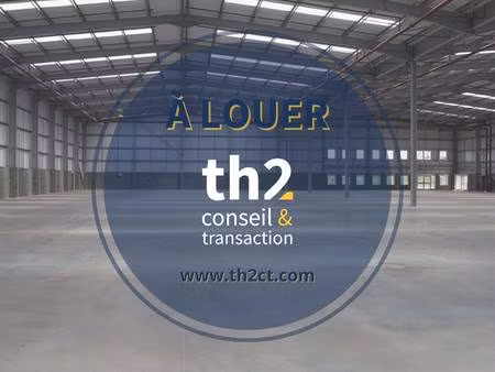 th2 ct