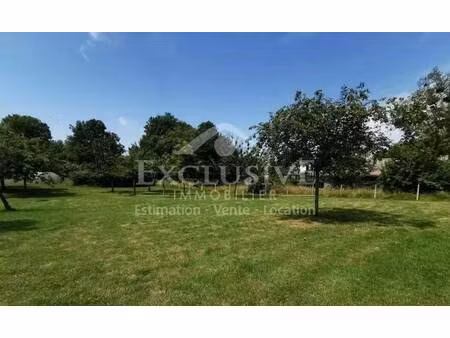 terrain à vendre