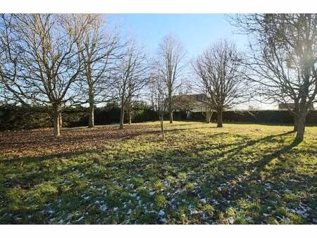 terrain constructible viabilisé à vendre