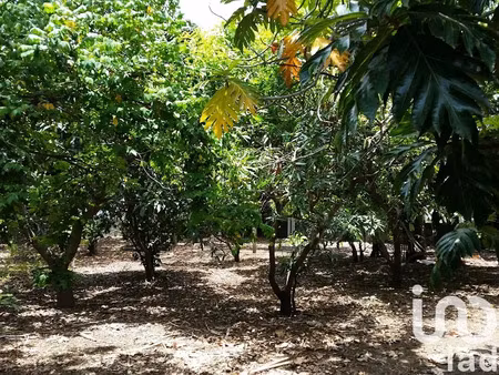 vente terrain 400 m² à ravine des cabris (97432)  140 000 €