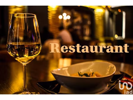 vente locaux professionnels 200 m² à la roque-sur-cèze (30200)  65 000 €