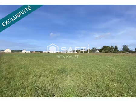 vente terrain 7381 m² à cinq-mars-la-pile (37130)  195 000 €