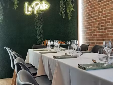 vente locaux professionnels 1000 m² à saint-pierre-des-echaubrognes (79700)  149 000 €