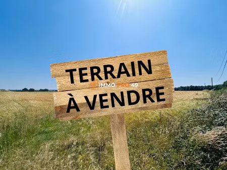 vente terrain à batir 10000 m² à vendrennes (85250)  595 000 €