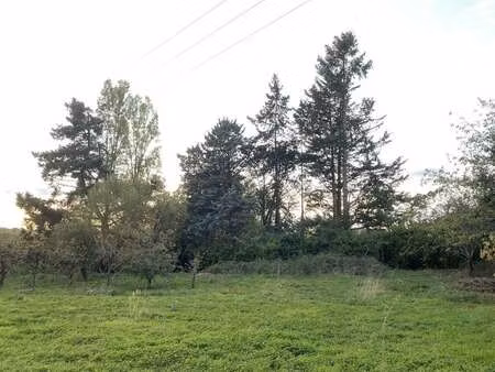 vente terrain à la meignanne (49770) : à vendre / 543m² la meignanne