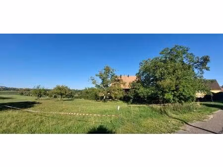 beau terrain plat constructible de 6.15 ares