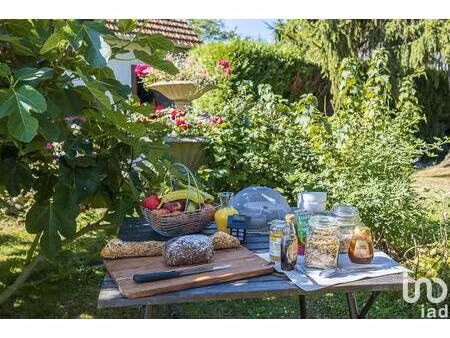 local commercial à vendre