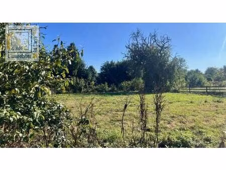 terrain constructible viabilisé à vendre