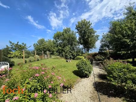 foch immobilier
