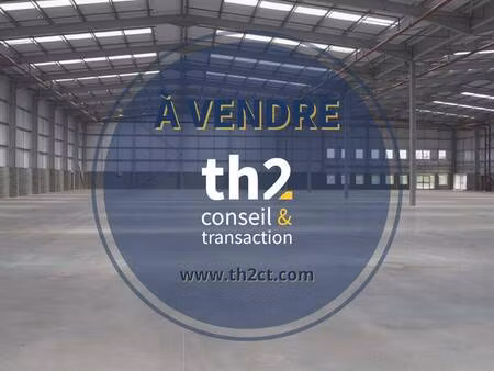 th2 ct