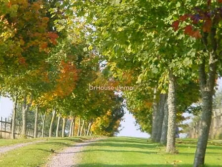 virginie harnois dr house immo