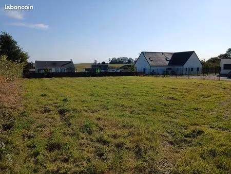 terrain constructible