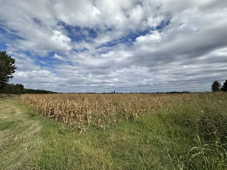 15 hectares de terres agricoles en bordure de garonne