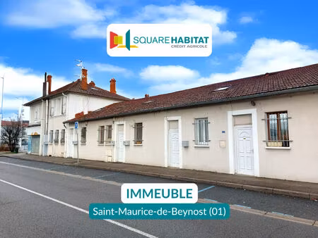 vente immeuble saint-maurice-de-beynost (01700)