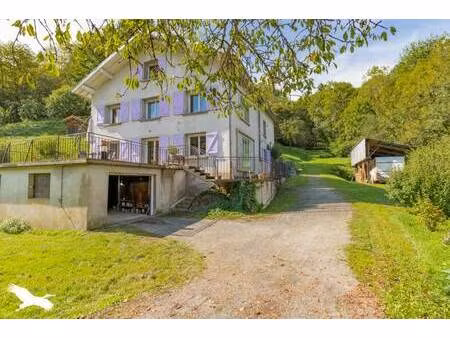 vente maison 7 pièces 174 m² nescus (09240)