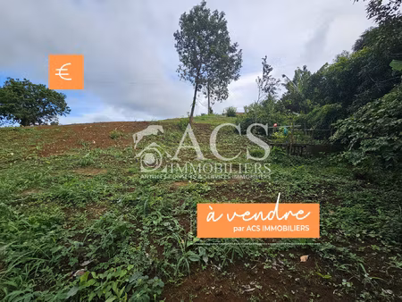 terrain en pente douce  bourg du morne des esses - sainte-ma