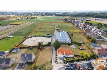 mechelen - exclusieve hippische accommodatie op +/- 4 4ha