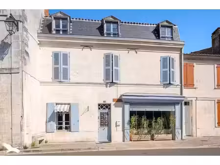 vente maison 5 pièces 234 m² saint-savinien (17350)